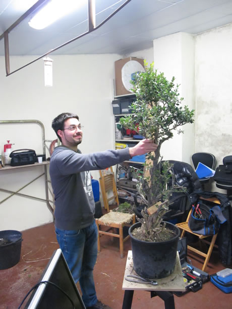 Scuola e corsi bonsai